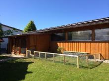 Der Welpengarten