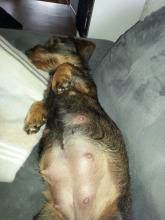 Bauch von Lissi